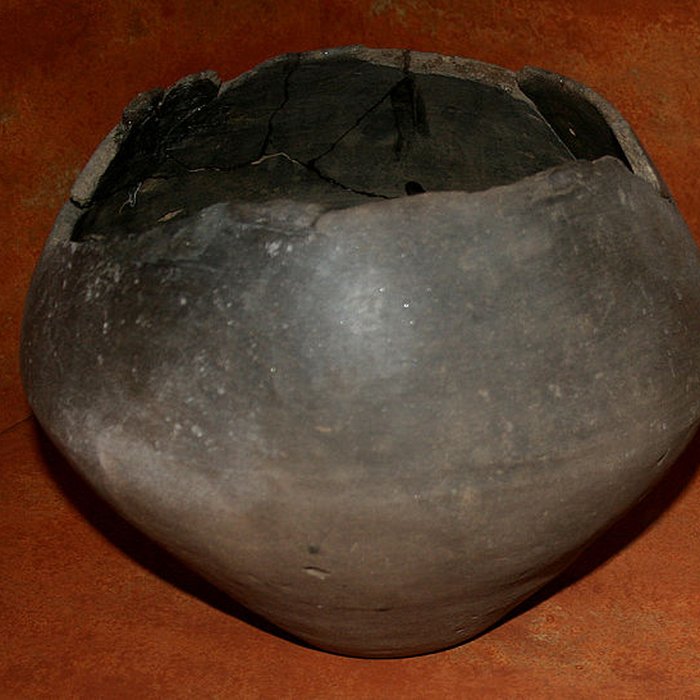 Photo de Muséum dOrléans pour la biodiversité et lenvironnement - MOBE