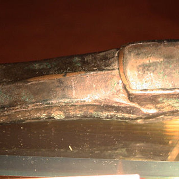 Photo de Muséum dOrléans pour la biodiversité et lenvironnement - MOBE