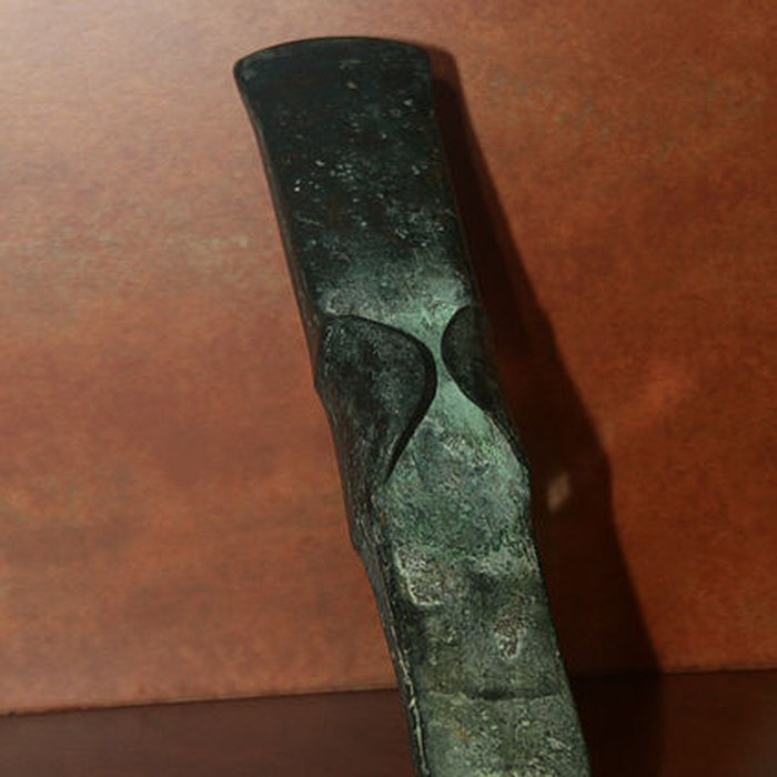 Photo de Muséum dOrléans pour la biodiversité et lenvironnement - MOBE