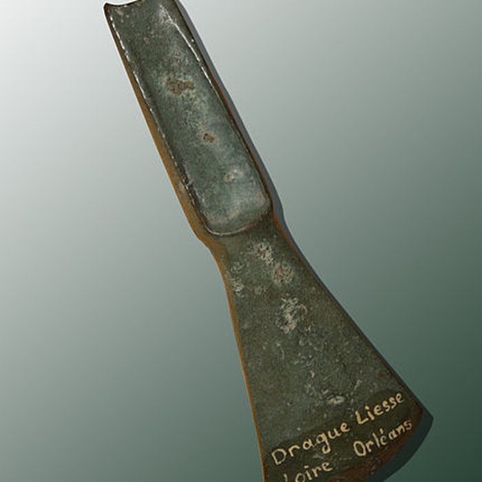 Photo de Muséum dOrléans pour la biodiversité et lenvironnement - MOBE