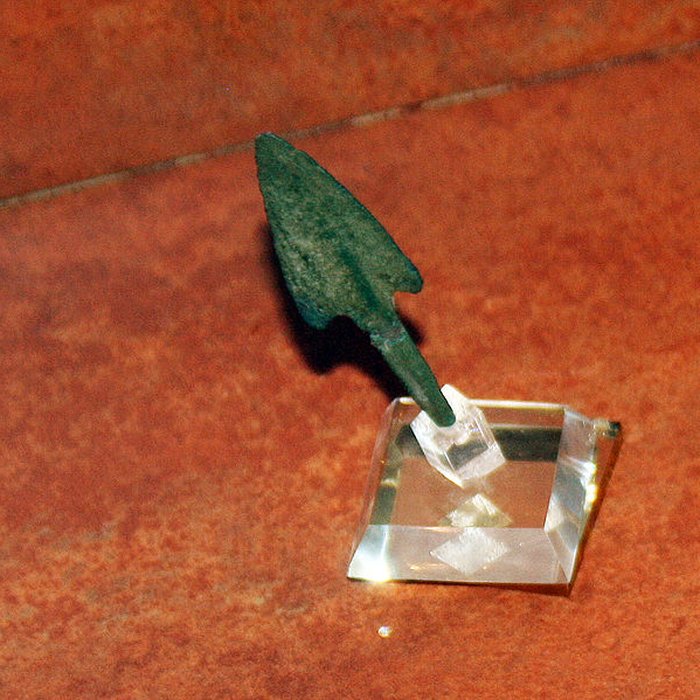 Photo de Muséum dOrléans pour la biodiversité et lenvironnement - MOBE