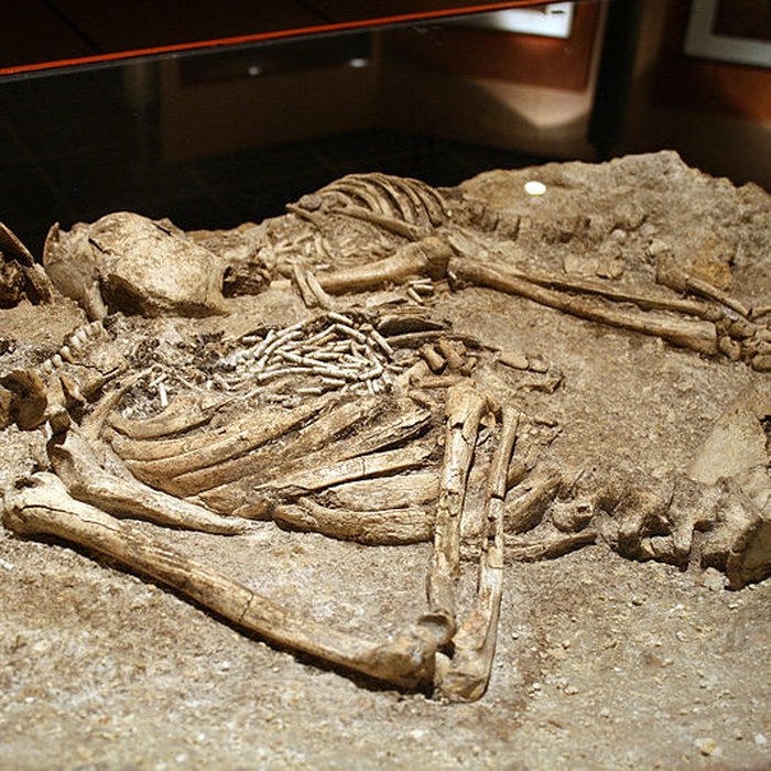 Photo de Muséum dOrléans pour la biodiversité et lenvironnement - MOBE