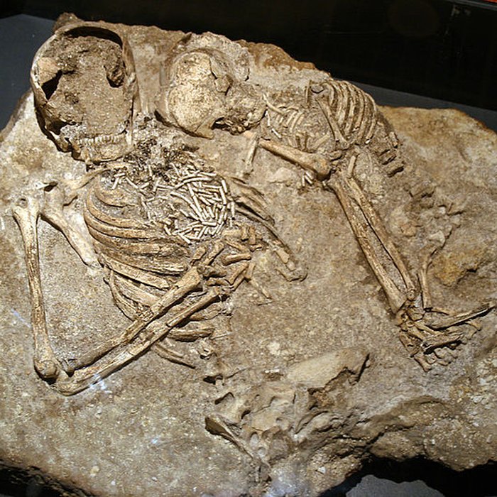 Photo de Muséum dOrléans pour la biodiversité et lenvironnement - MOBE