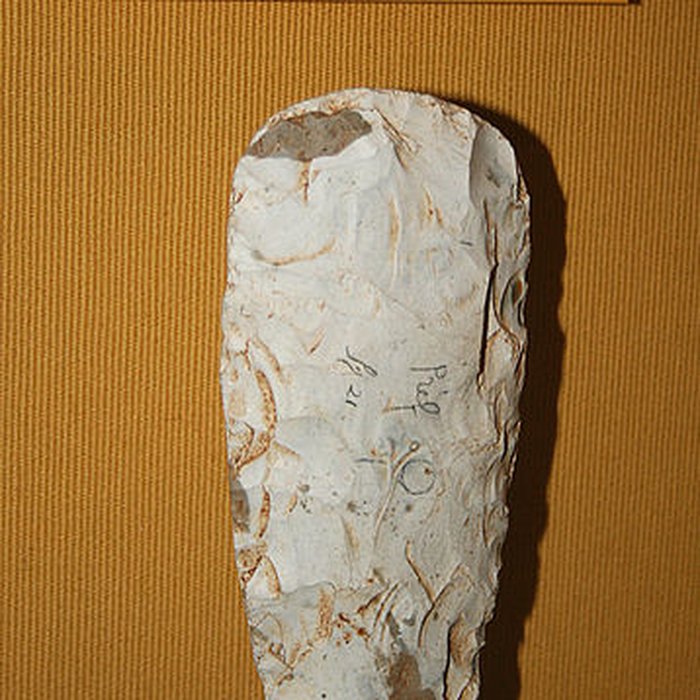 Photo de Muséum dOrléans pour la biodiversité et lenvironnement - MOBE