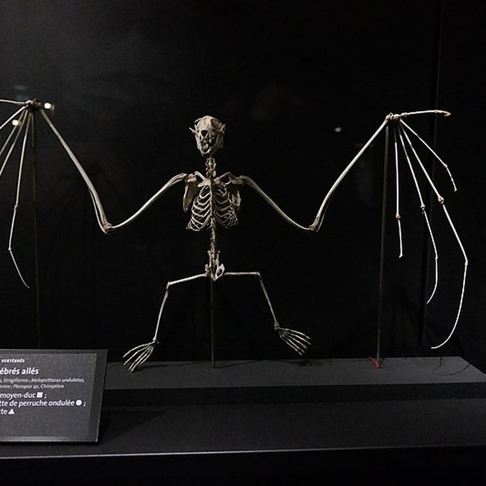 Photo de Muséum dOrléans pour la biodiversité et lenvironnement - MOBE