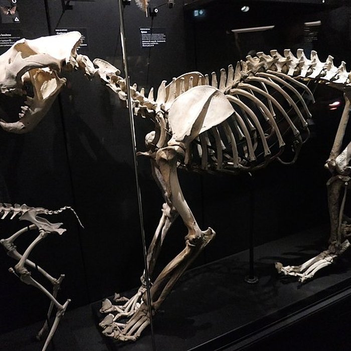 Photo de Muséum dOrléans pour la biodiversité et lenvironnement - MOBE