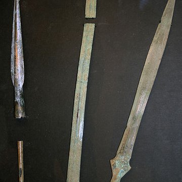 Muséum dOrléans pour la biodiversité et lenvironnement - MOBE