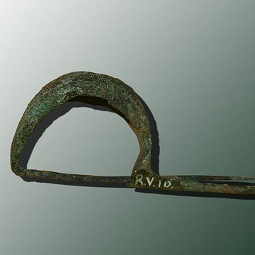 Muséum dOrléans pour la biodiversité et lenvironnement - MOBE