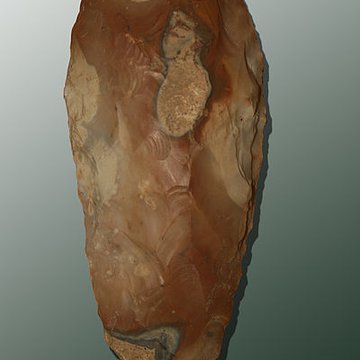 Muséum dOrléans pour la biodiversité et lenvironnement - MOBE