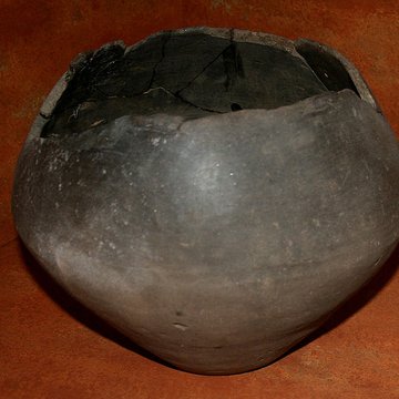 Muséum dOrléans pour la biodiversité et lenvironnement - MOBE