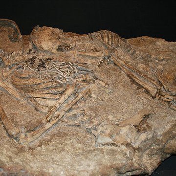 Muséum dOrléans pour la biodiversité et lenvironnement - MOBE