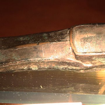 Muséum dOrléans pour la biodiversité et lenvironnement - MOBE