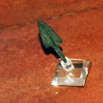 Muséum dOrléans pour la biodiversité et lenvironnement - MOBE