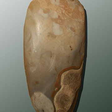 Muséum dOrléans pour la biodiversité et lenvironnement - MOBE