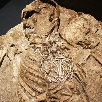 Muséum dOrléans pour la biodiversité et lenvironnement - MOBE