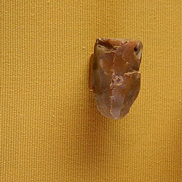 Muséum dOrléans pour la biodiversité et lenvironnement - MOBE