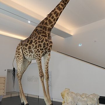 Muséum dOrléans pour la biodiversité et lenvironnement - MOBE