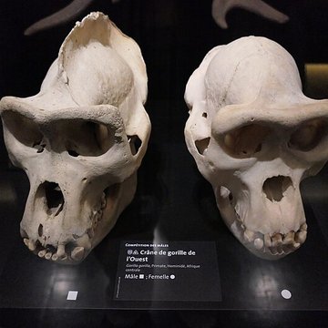 Muséum dOrléans pour la biodiversité et lenvironnement - MOBE