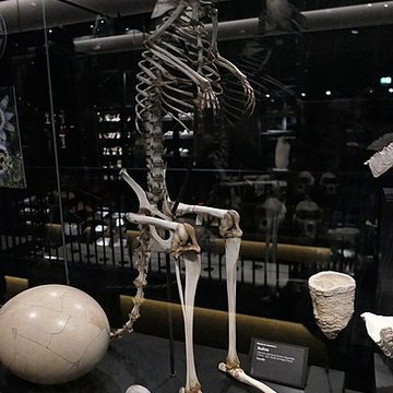 Muséum dOrléans pour la biodiversité et lenvironnement - MOBE