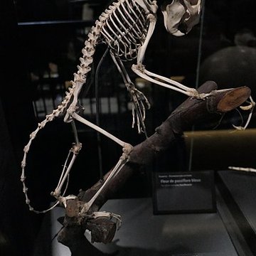 Muséum dOrléans pour la biodiversité et lenvironnement - MOBE