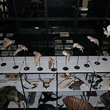 Muséum dOrléans pour la biodiversité et lenvironnement - MOBE