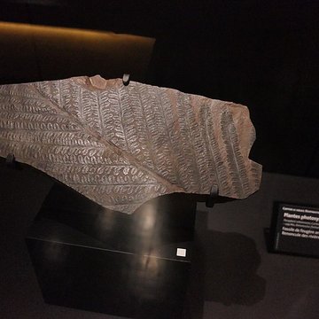 Muséum dOrléans pour la biodiversité et lenvironnement - MOBE