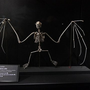 Muséum dOrléans pour la biodiversité et lenvironnement - MOBE