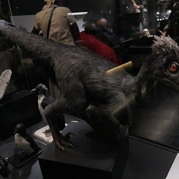 Muséum dOrléans pour la biodiversité et lenvironnement - MOBE