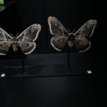 Muséum dOrléans pour la biodiversité et lenvironnement - MOBE