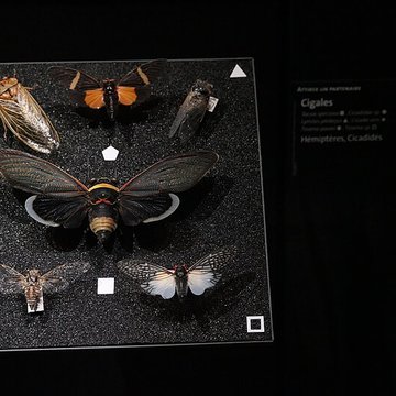 Muséum dOrléans pour la biodiversité et lenvironnement - MOBE