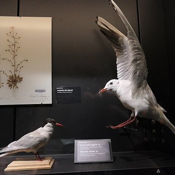 Muséum dOrléans pour la biodiversité et lenvironnement - MOBE