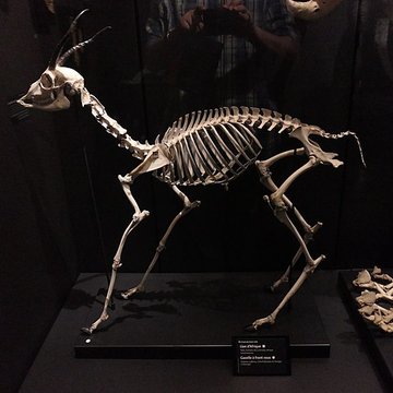 Muséum dOrléans pour la biodiversité et lenvironnement - MOBE