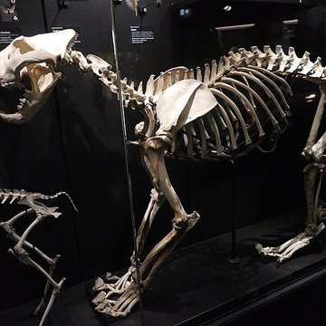 Muséum dOrléans pour la biodiversité et lenvironnement - MOBE