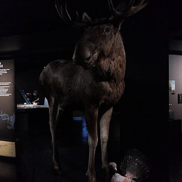 Muséum dOrléans pour la biodiversité et lenvironnement - MOBE