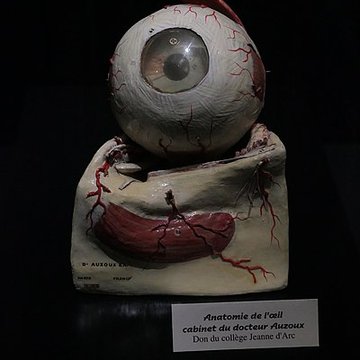 Muséum dOrléans pour la biodiversité et lenvironnement - MOBE