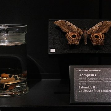 Muséum dOrléans pour la biodiversité et lenvironnement - MOBE