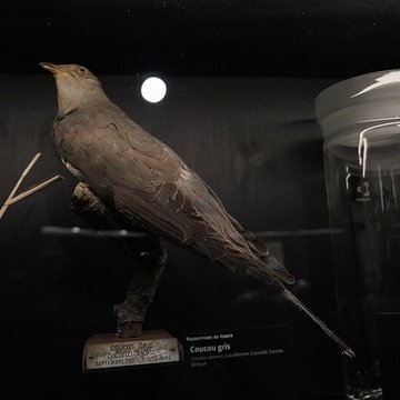 Muséum dOrléans pour la biodiversité et lenvironnement - MOBE