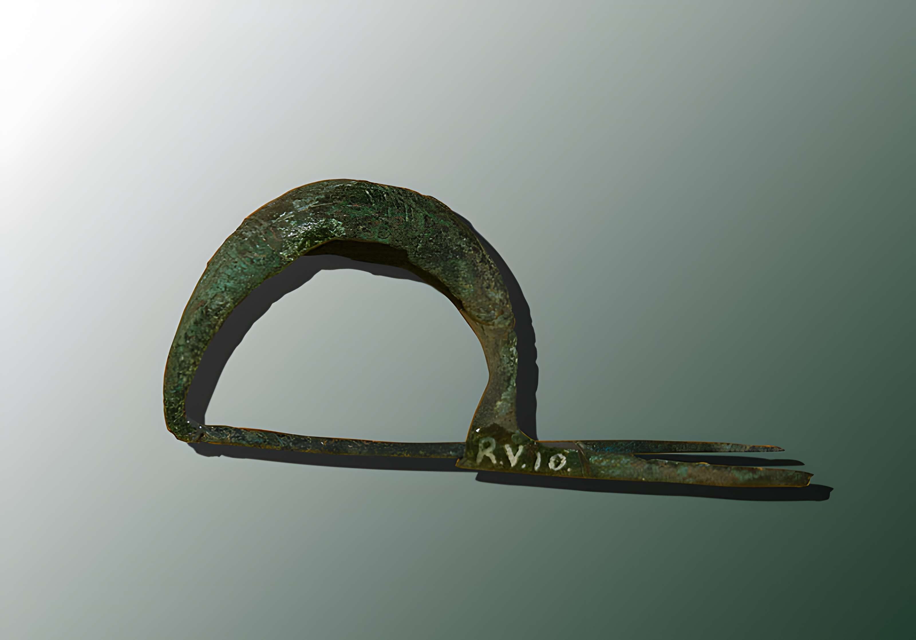 Muséum d'Orléans pour la biodiversité et l'environnement - MOBE