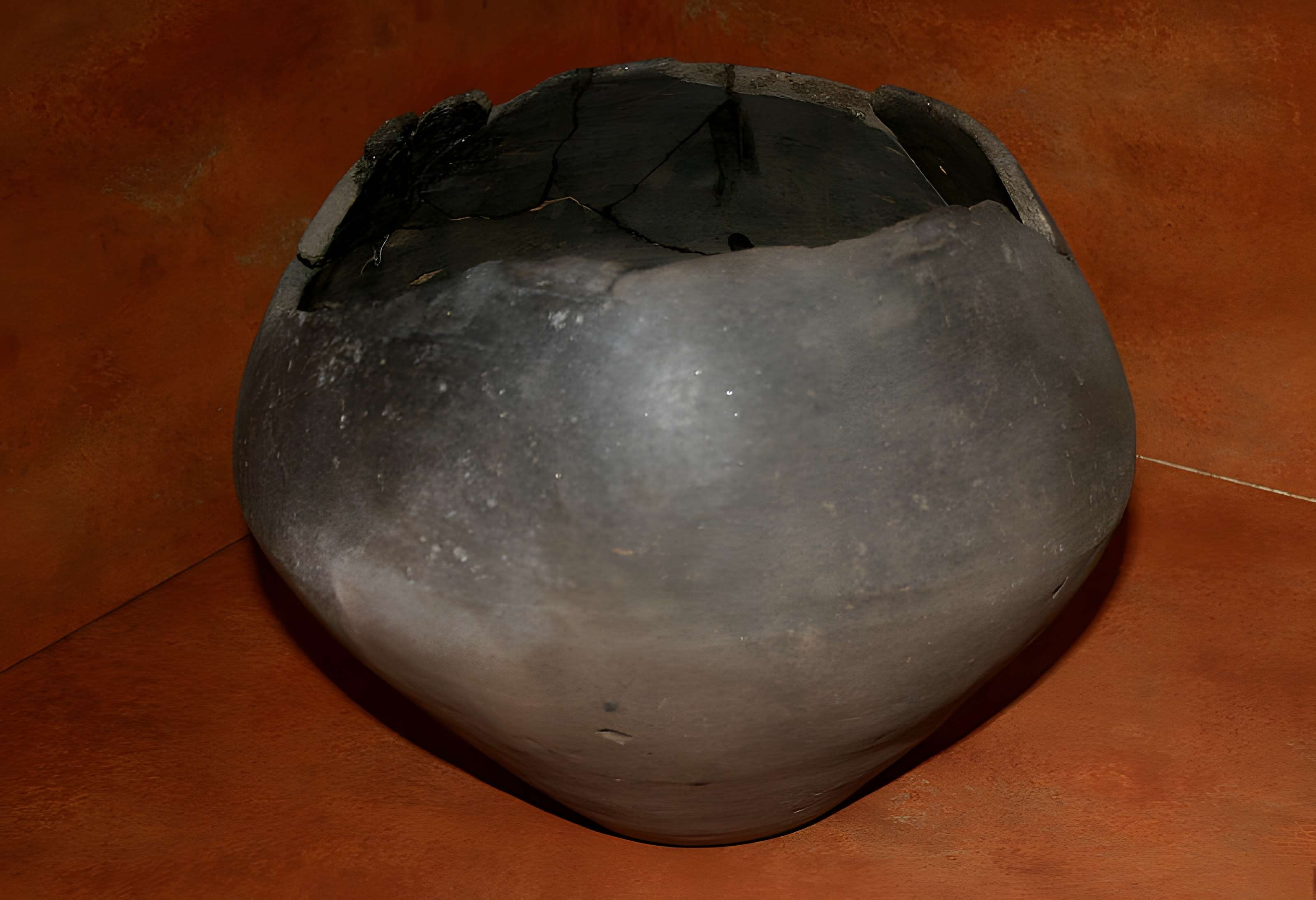 Muséum d'Orléans pour la biodiversité et l'environnement - MOBE