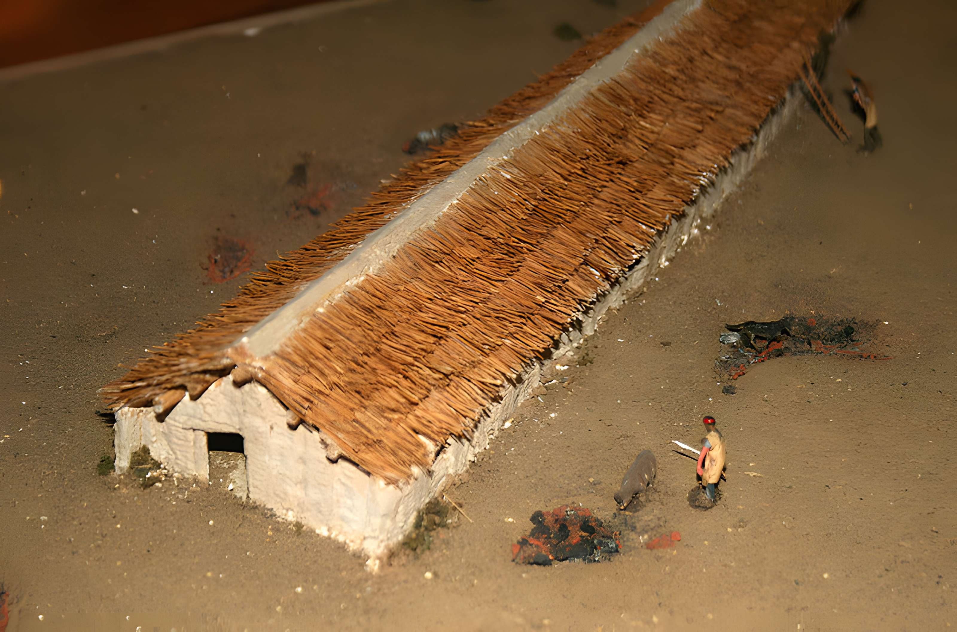 Muséum d'Orléans pour la biodiversité et l'environnement - MOBE