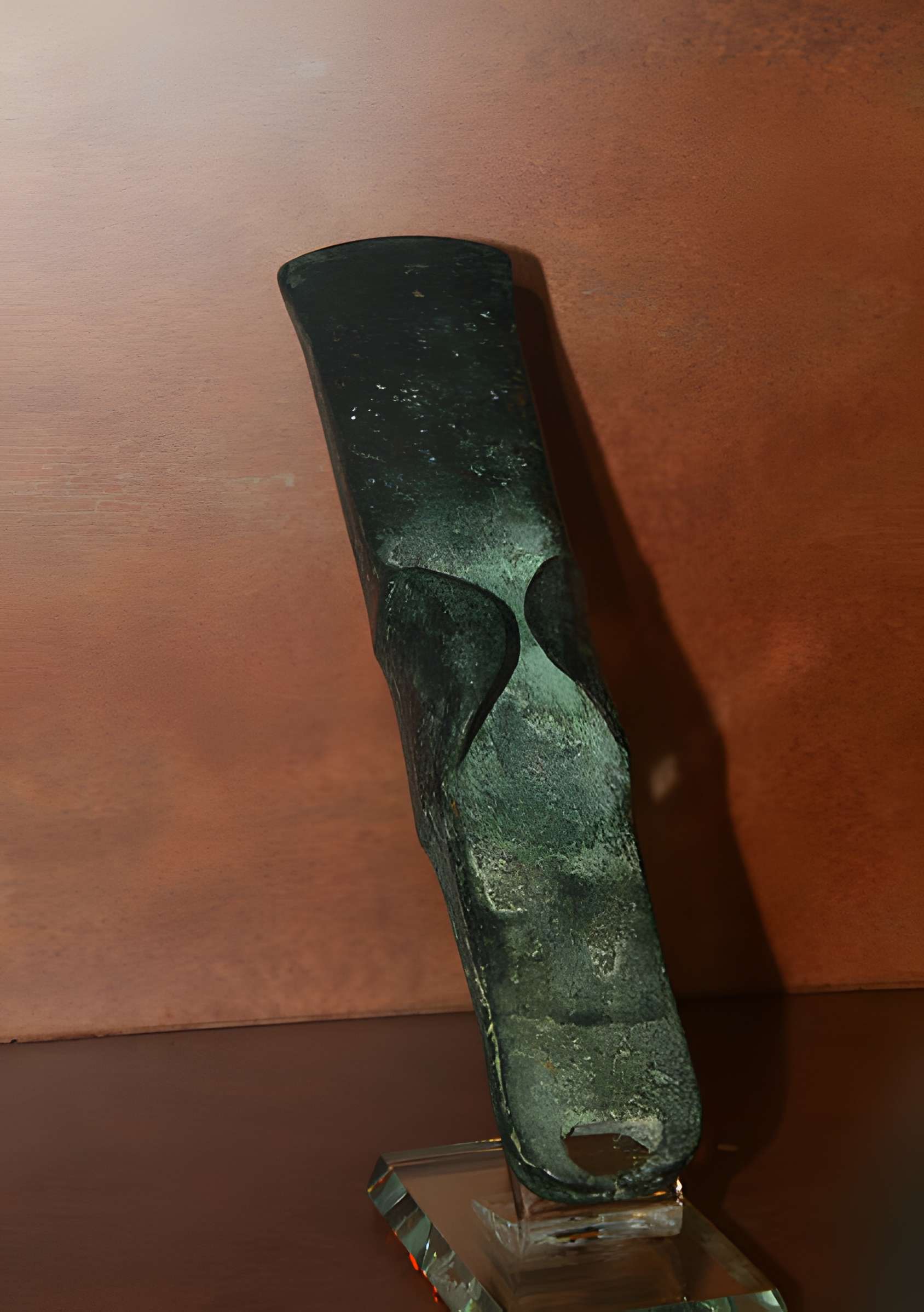 Muséum d'Orléans pour la biodiversité et l'environnement - MOBE