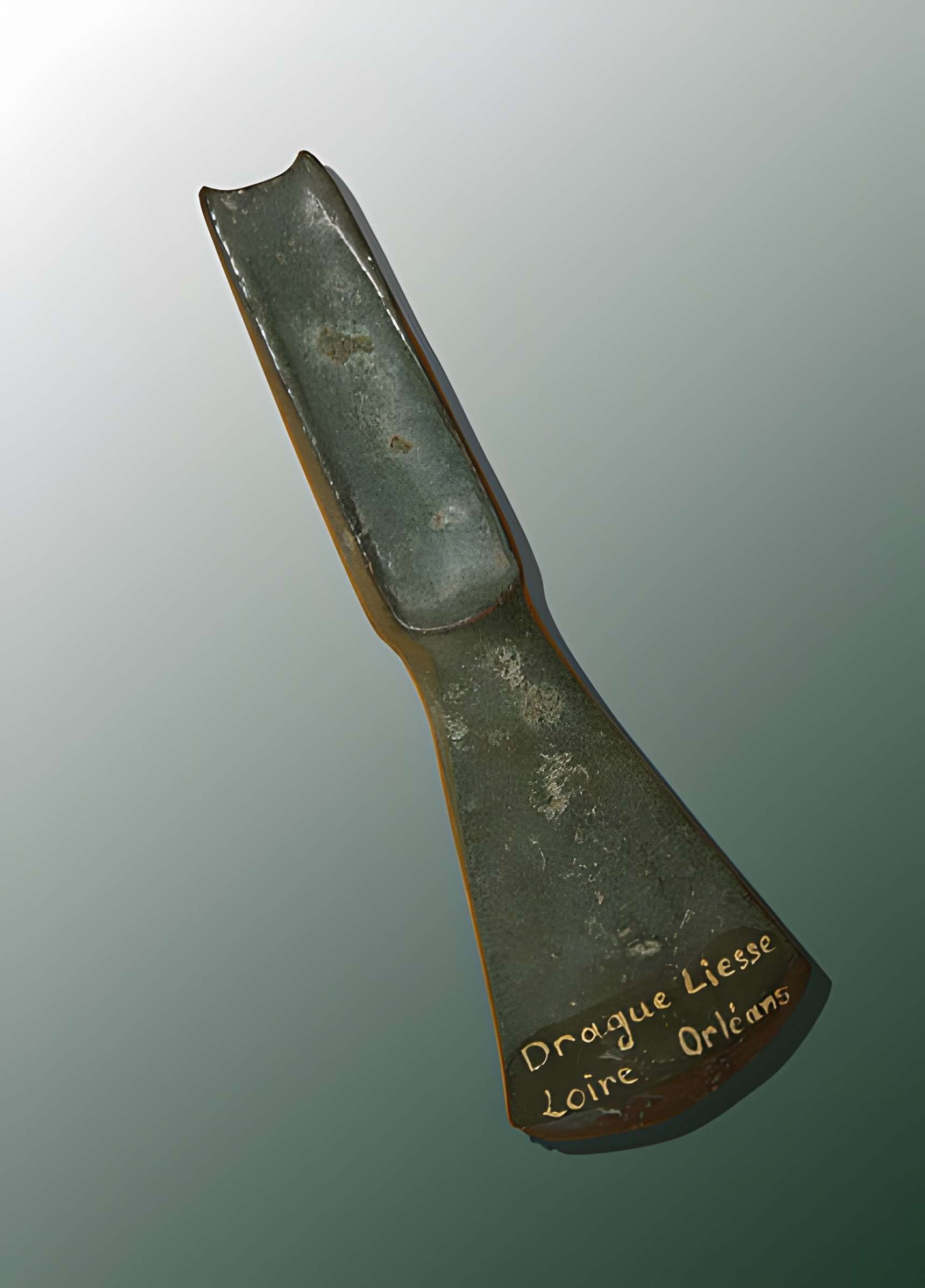 Muséum d'Orléans pour la biodiversité et l'environnement - MOBE