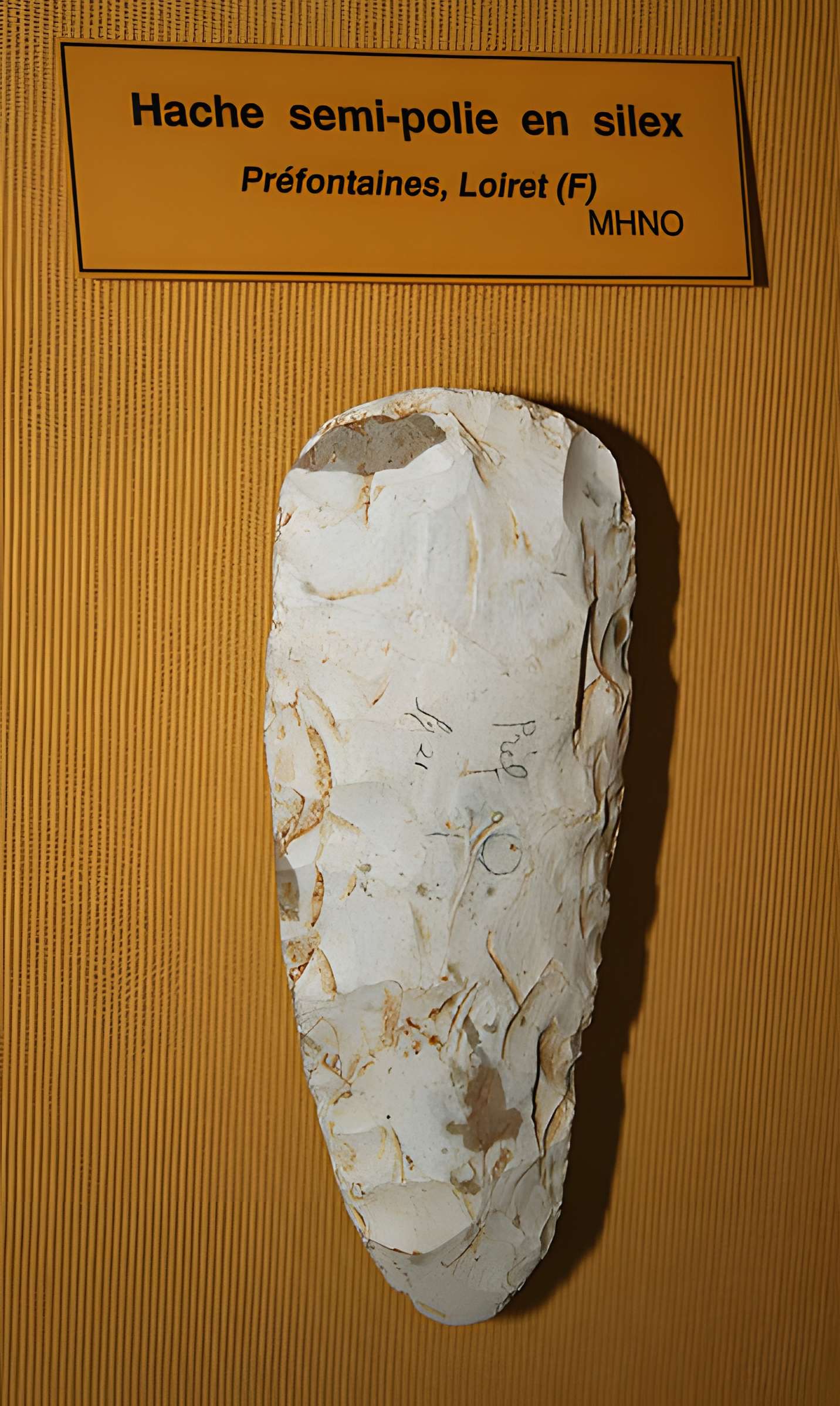 Muséum d'Orléans pour la biodiversité et l'environnement - MOBE