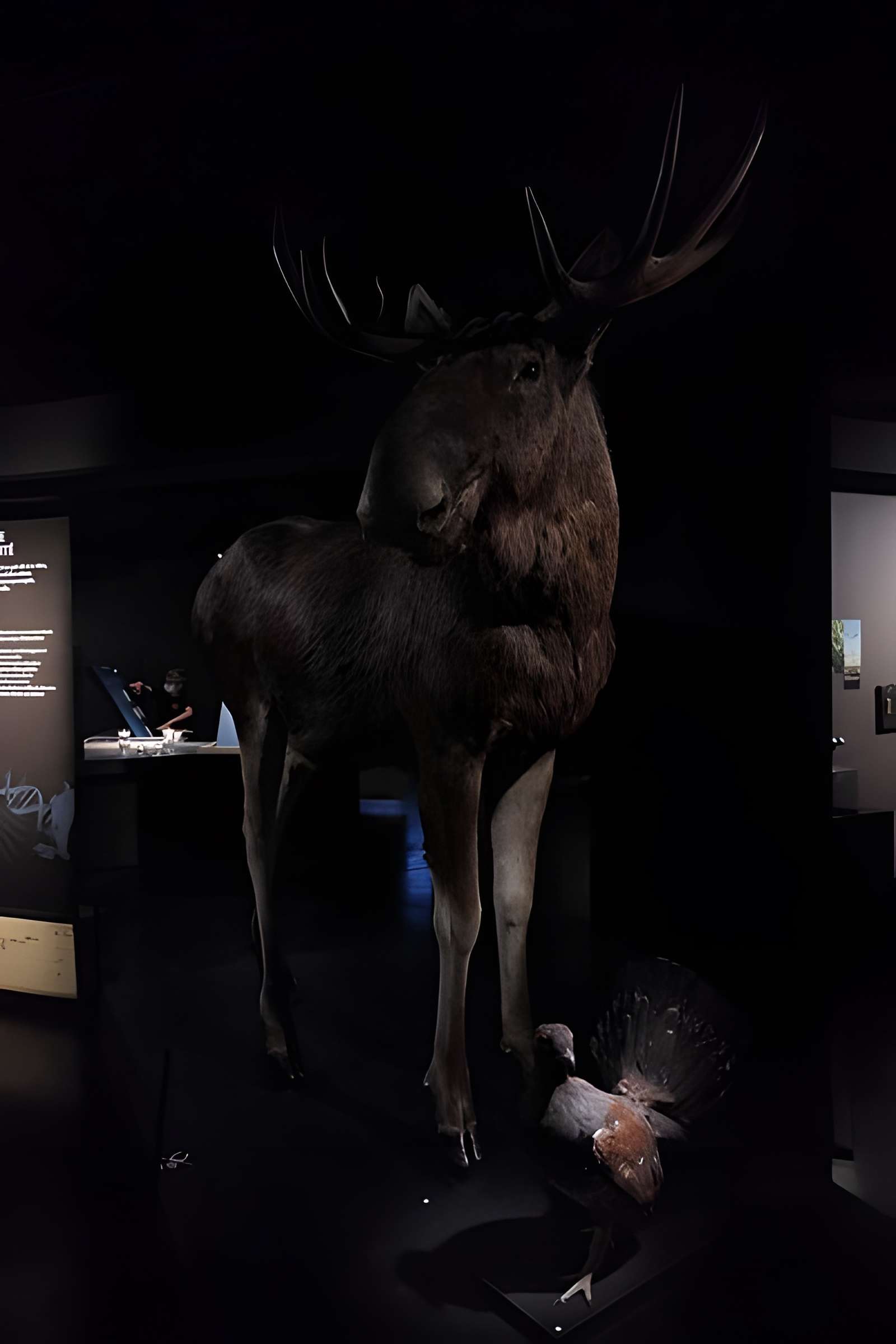 Muséum d'Orléans pour la biodiversité et l'environnement - MOBE