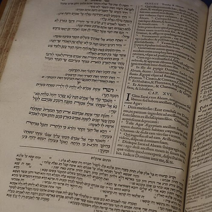 Photo de Musée Champollion - Les Écritures du monde