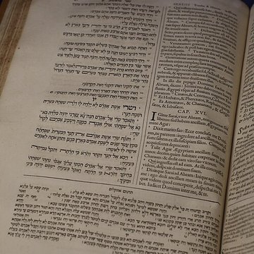 Musée Champollion - Les Écritures du monde