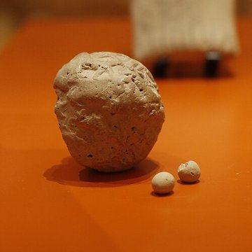 Musée Champollion - Les Écritures du monde