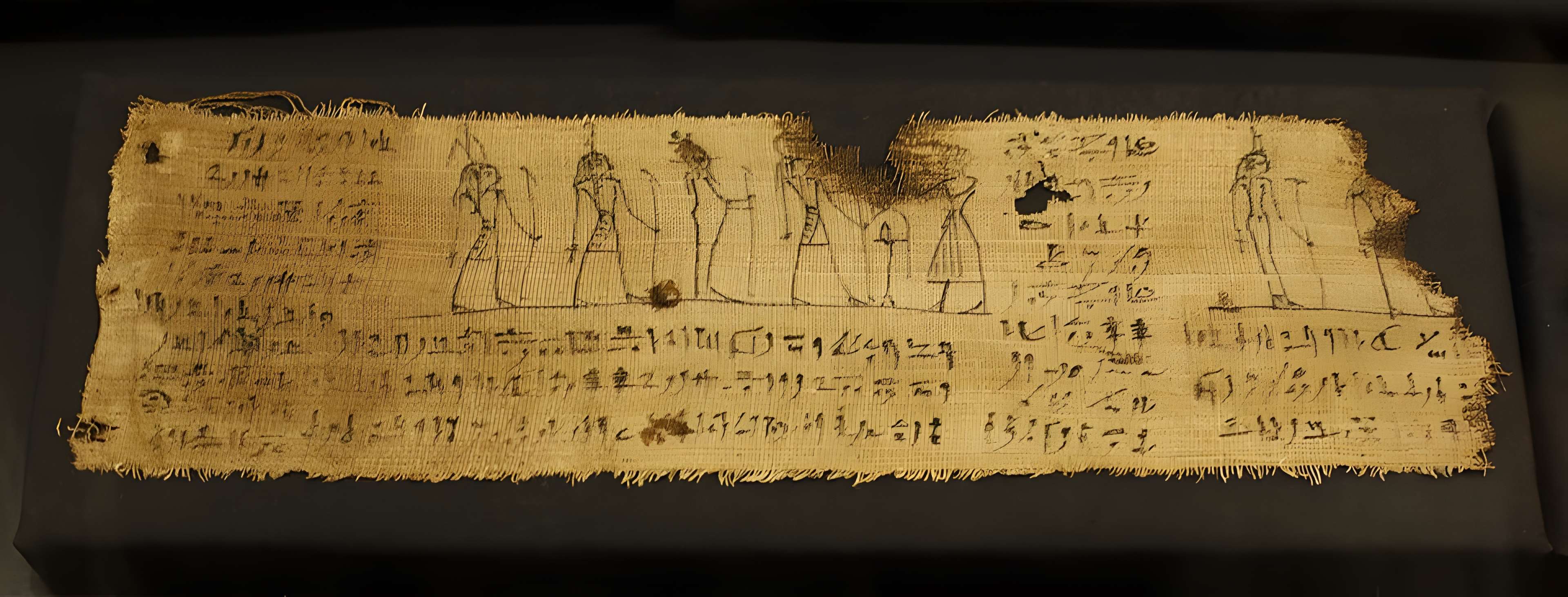 Musée Champollion - Les Écritures du monde