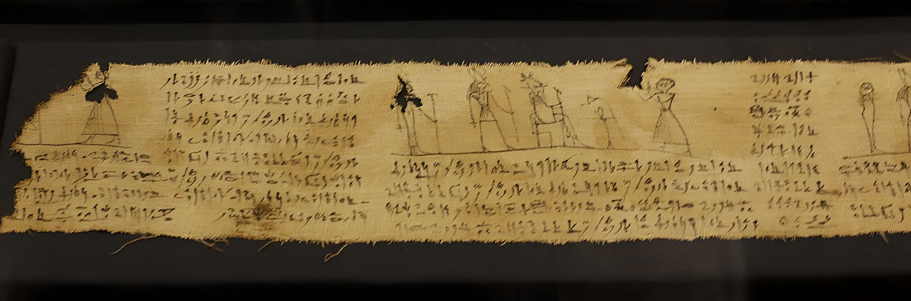 Musée Champollion - Les Écritures du monde