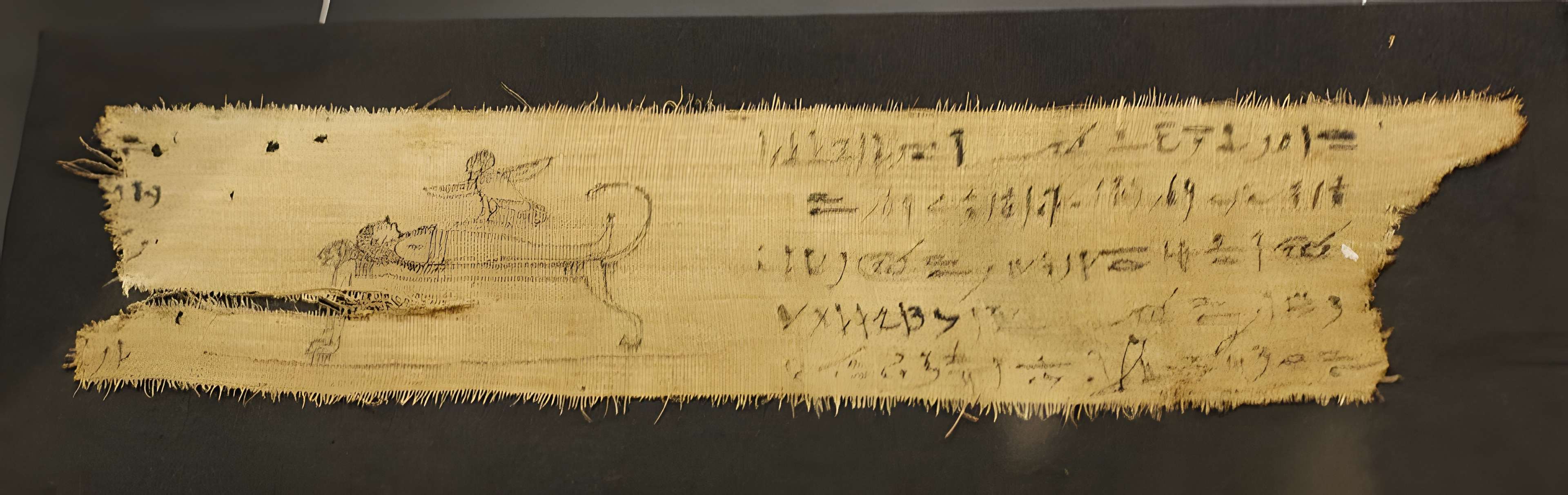 Musée Champollion - Les Écritures du monde